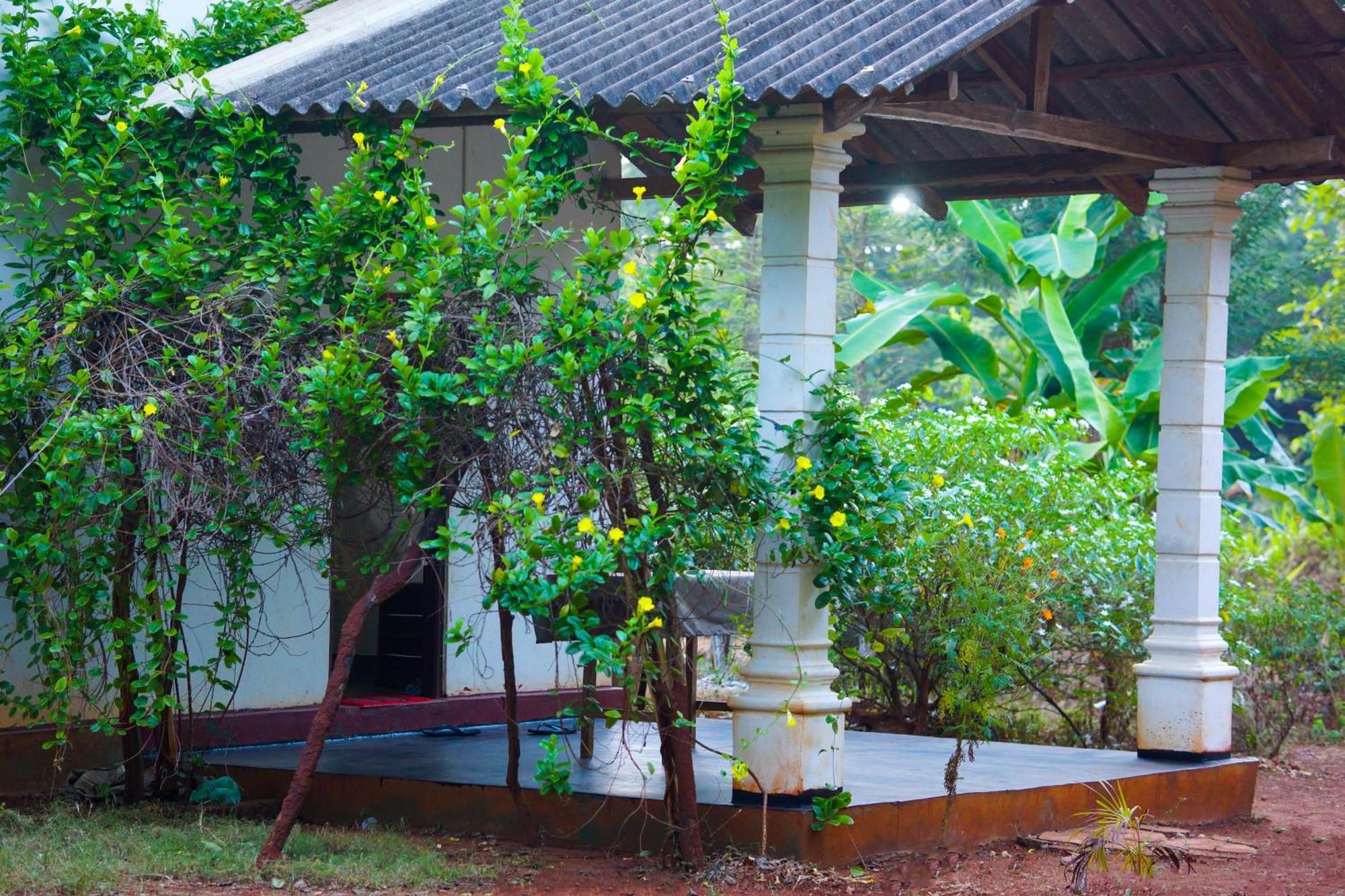 Senu Homestay Sigiriya Exterior foto